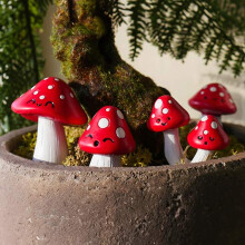 Novelty Plant Pot Markers Planter Mini Decor Garden Set of 4 Mushroom