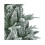 Garden Store Direct Lapland Fir Slim Snow Covered Tree 6ft / 180cm 2
