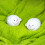 Lamb Dryer Balls Fabric Drying Buddies Tumble Static Softener 2 Reusable 4