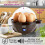 NEO Neo® 3-in-1 Stainless Steel Electric Egg Cooker 10