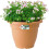 Elho Green Basics Campana 35cm Mild Terracotta 3