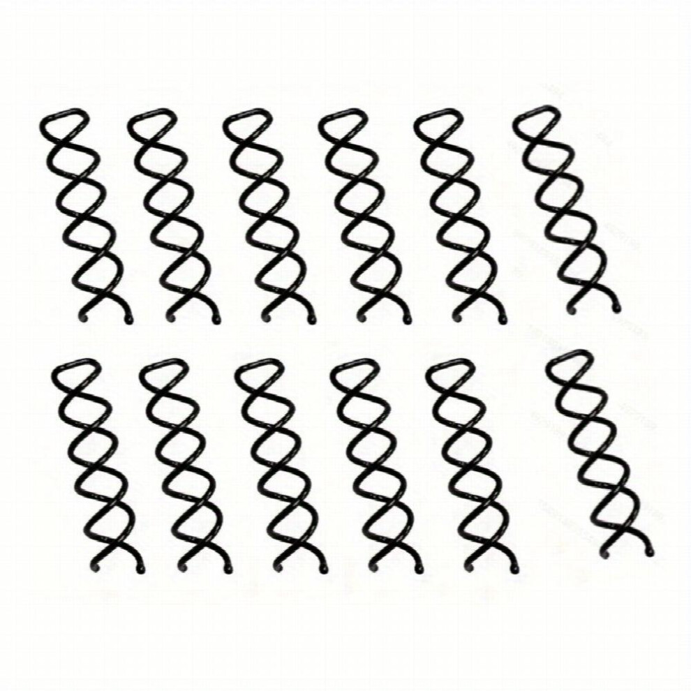 12pcs Spiral Hair Clip Style Hair Clip Invisible Hair Pin For Braids Metal Hairpin For Dreadlock Women Girls Hair Styling Accessories-image-OPC-PC2GQTT-NEW