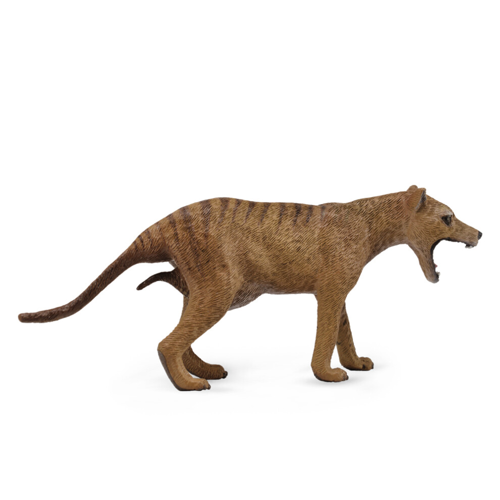 CollectA Thylacine (Tasmanian Tiger) Female