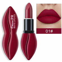 10 colors Long Lasting Matte Lipstick with Rich Velvet and Waterproof Formula
