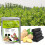 Ginger Foot Patch 10pcs bag 4