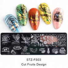 Stainless Steel Nail Art Stamping Plate with Flower Leaves and Rose Patterns Create Designs with Ease
