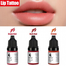 Tattoo Ink Permanent Eyebrow Make Up Pigement For Eyebrows Eyeliner Lips Microblading Supplies For Eyebrow Machine Pigment Set For Professional Beauty