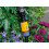 Hozelock Micro Irrigation Pressure Regulator, Reduces Water Pressure to 1.5 Bar 3