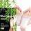 10 20pcs Ginger Wormwood Foot Patch Improving Sleep Allows For Nighttime Use Reliving Stress 1