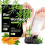 10 20pcs Ginger Wormwood Foot Patch Improving Sleep Allows For Nighttime Use Reliving Stress 2