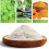 10 20pcs Ginger Wormwood Foot Patch Improving Sleep Allows For Nighttime Use Reliving Stress 3