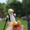 Plasterboard Swing Duck Car Accessories 5