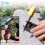 Car Retractable Windshield Sunshade With Suction Cups Sun Proetect For Auto UV Blocking Foldable Car Sun Shade Window Sun Block 4
