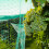 4m x 12m Garden Mesh Netting Bird Plant Vegetable Netting 2