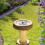 Blagdon Blagdon Liberty Solar Power 180 Mini Floating Fountain Pump for Nature Pool, Small Garden Ponds, Water Features. Bird Baths 2