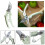 AAMEN Bypass Garden Pruners, Secateurs & Pruning Scissors For Branches 3