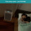 Midea SmartAir Pure Control Air Purifier 13