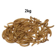 (2kg) Bucktons Dried Mealworms Premium Wild Bird Food