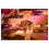 Asmodee Disney Lorcarna 3 - Amber/Emerald Pongo & Peter Pan Deck 5
