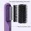 Hair Straightener Brush with Temp Negative Ion Styling Comb Purple 8