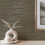 Crown Crown Fusion Plain Charcoal Wallpaper M1770 3