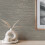 Crown Crown Fusion Plain Stone Grey Wallpaper M1767 3