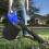 Leaf Blower Vacuum and Mulcher, 3 in 1 Garden Blower/Vacuum and Shredder with 30L Collection Bag, Carry Strap, Wheeled, 10:1 Mulching Ratio 9