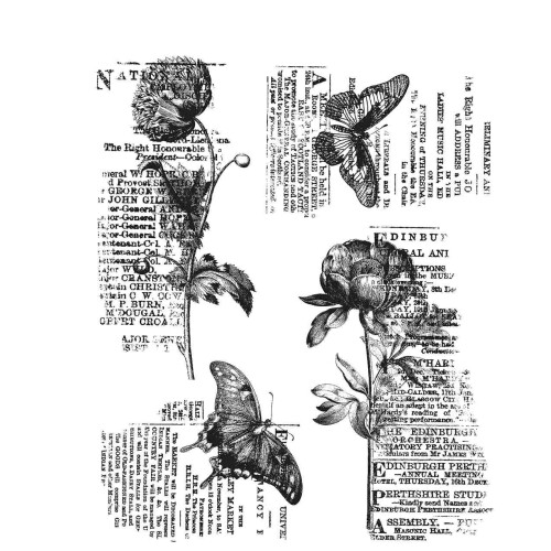 Tim Holtz Cling Stamps 7"X8.5"-Botanic Elements CMS447