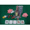 300 Pieces Texas Holdem Numbered Poker Chips Set with Case Kit 8