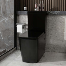 Square Rimless Close Coupled Toilet Dual Flush & Soft Close Seat Black