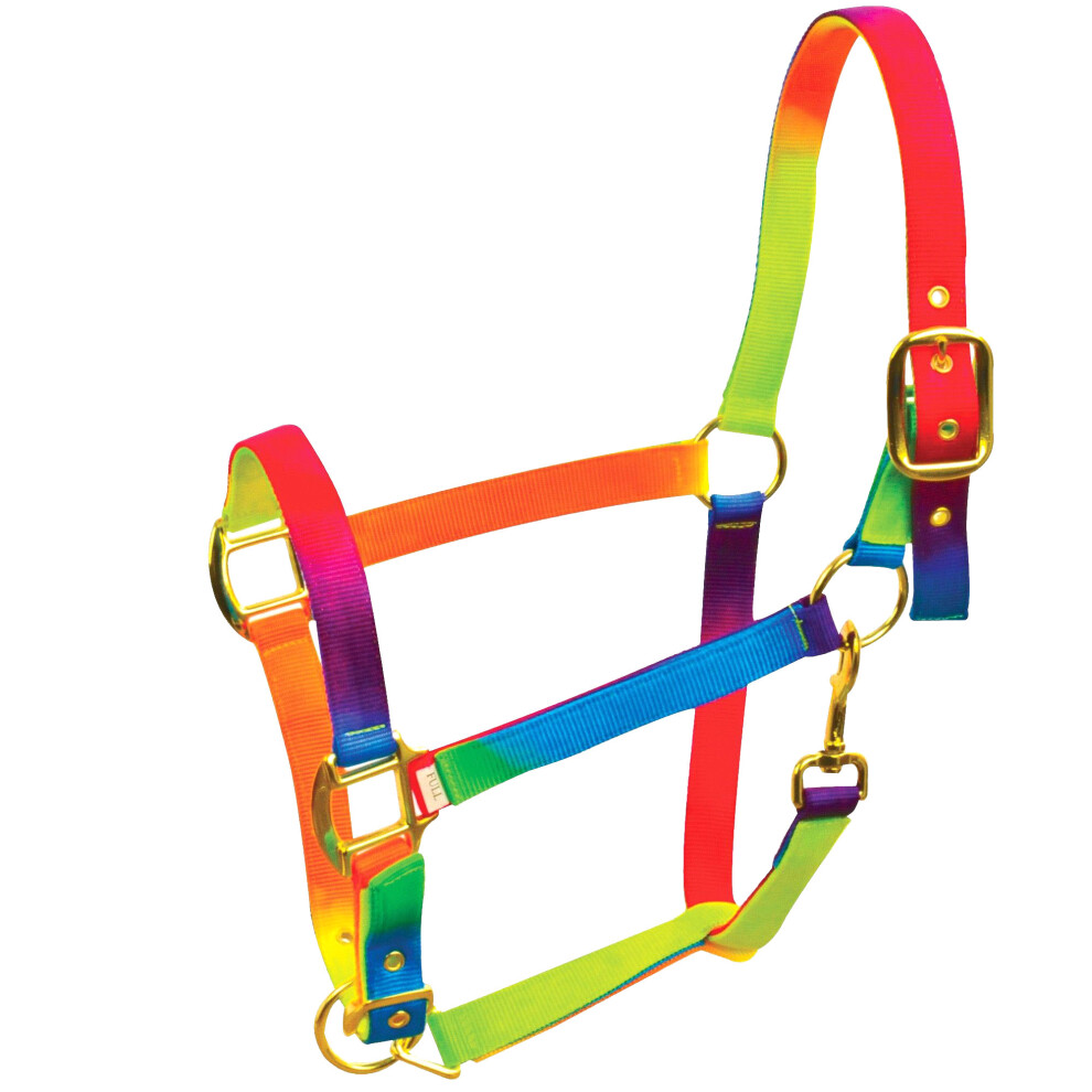 (Pony, Rainbow) Roma Rainbow Headcollar