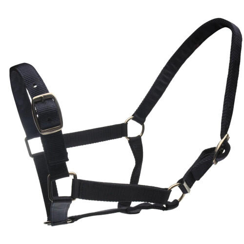 Roma (Cob, Navy) Roma Horse Headcollar and Leadrope
