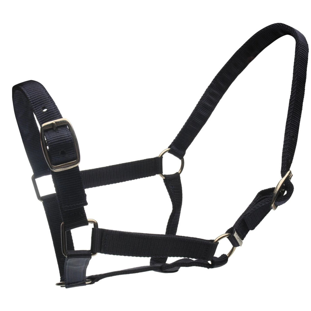 (Cob, Navy) Roma Horse Headcollar and Leadrope