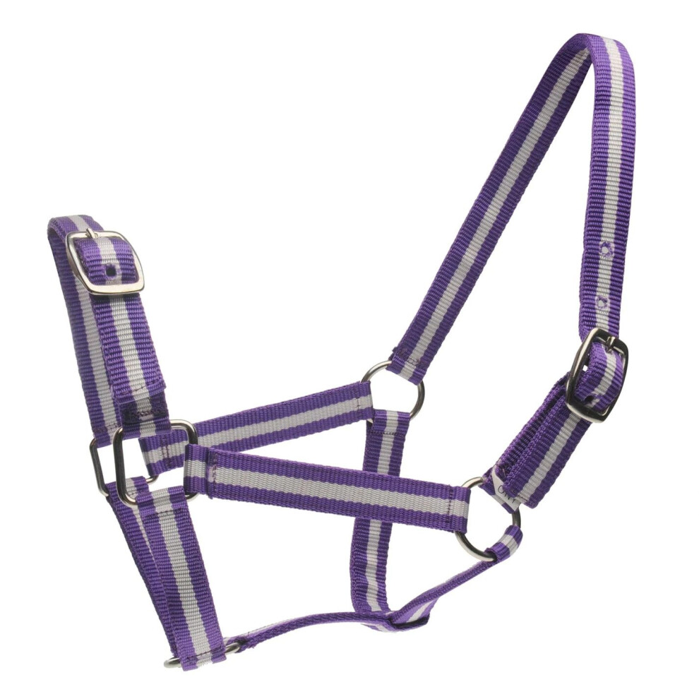 (Pony, Purple/Silver) Roma Horse Headcollar and Leadrope