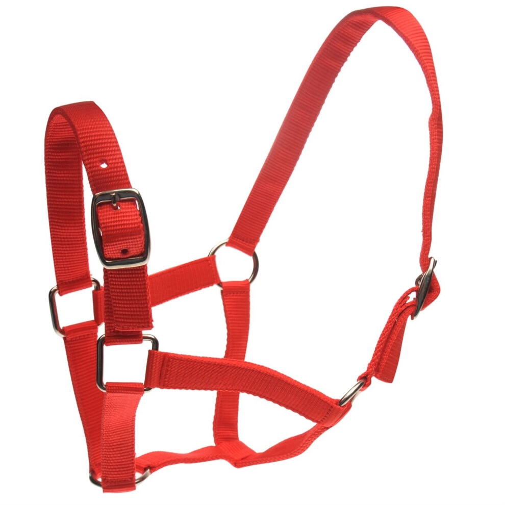 (Full, Red) Roma Horse Headcollar and Leadrope