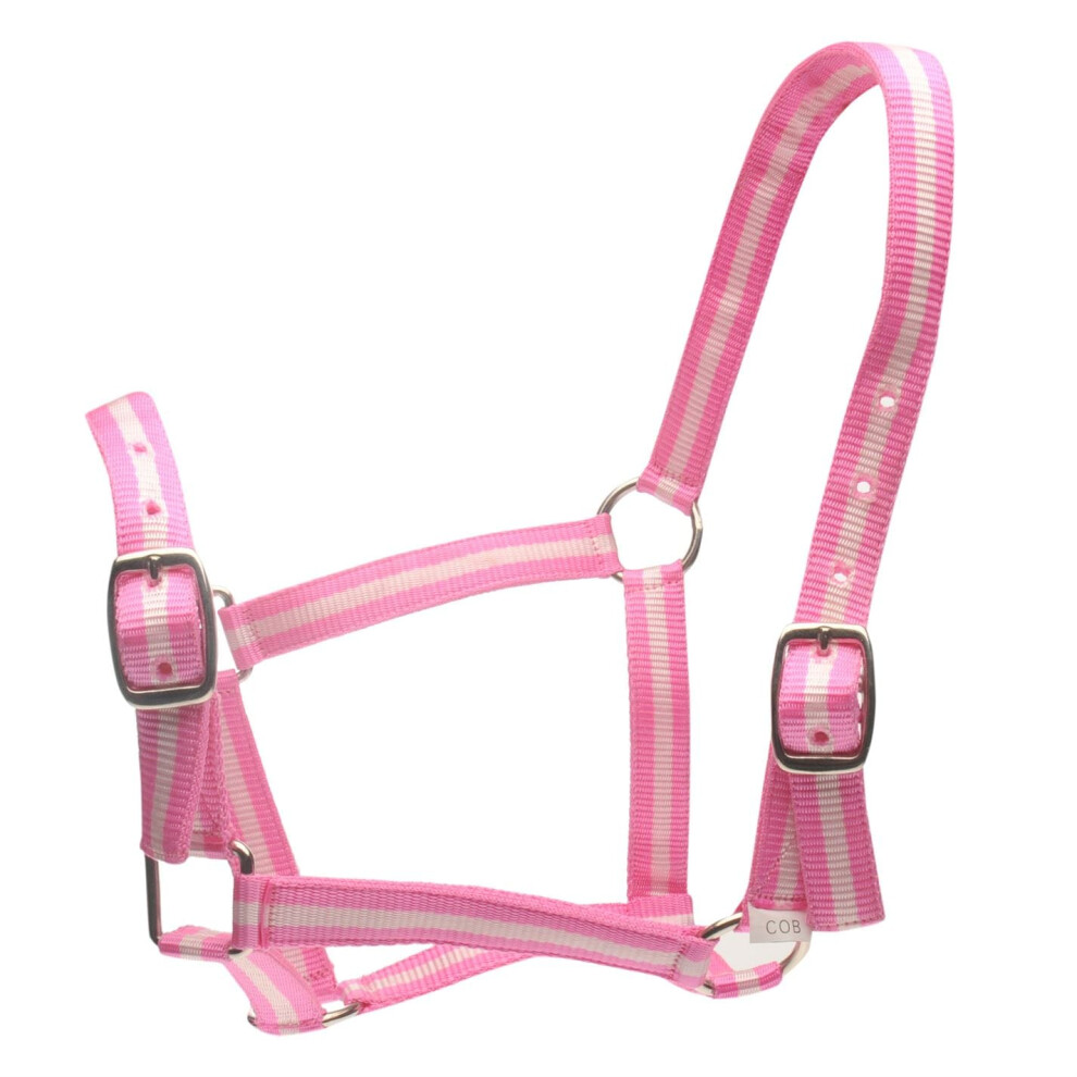 (Pony, Pink/Silver) Roma Horse Headcollar and Leadrope