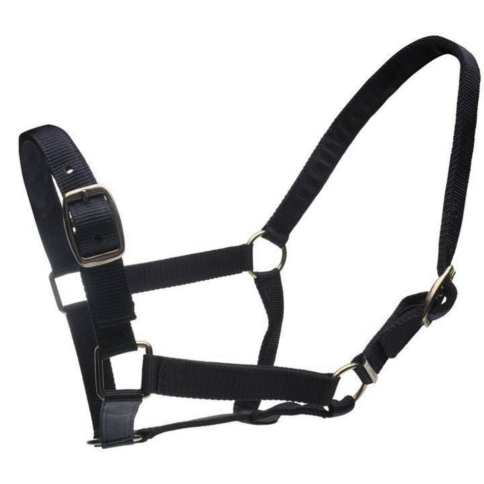 (Full, Black) Roma Horse Headcollar and Leadrope