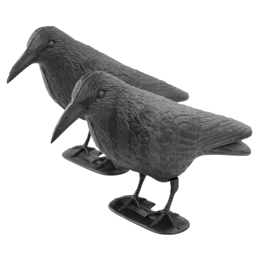 (2x Decoy Crows) Crow Decoy Full Bodied Realistic Hunting Bird Scarer