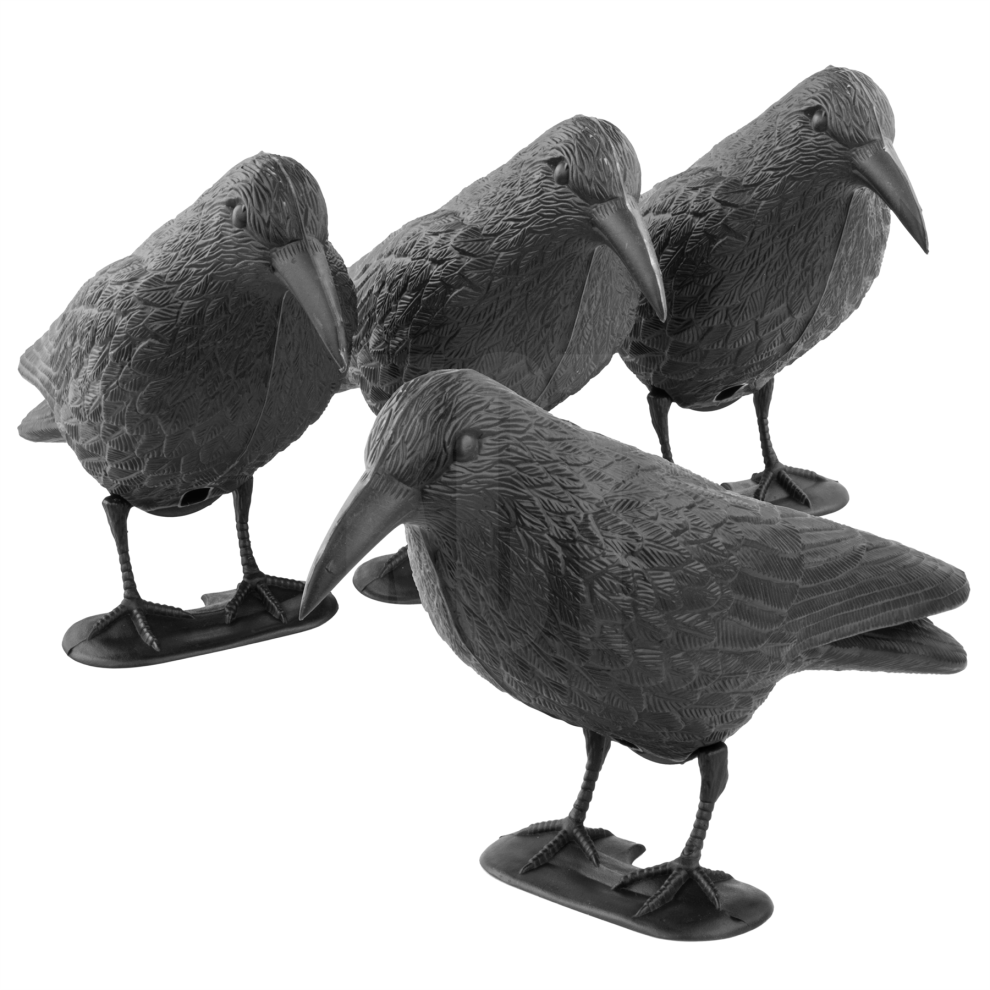 (4x Decoy Crows) KCT Crow Decoy Full Bodied Realistic Hunting Bird Scarer