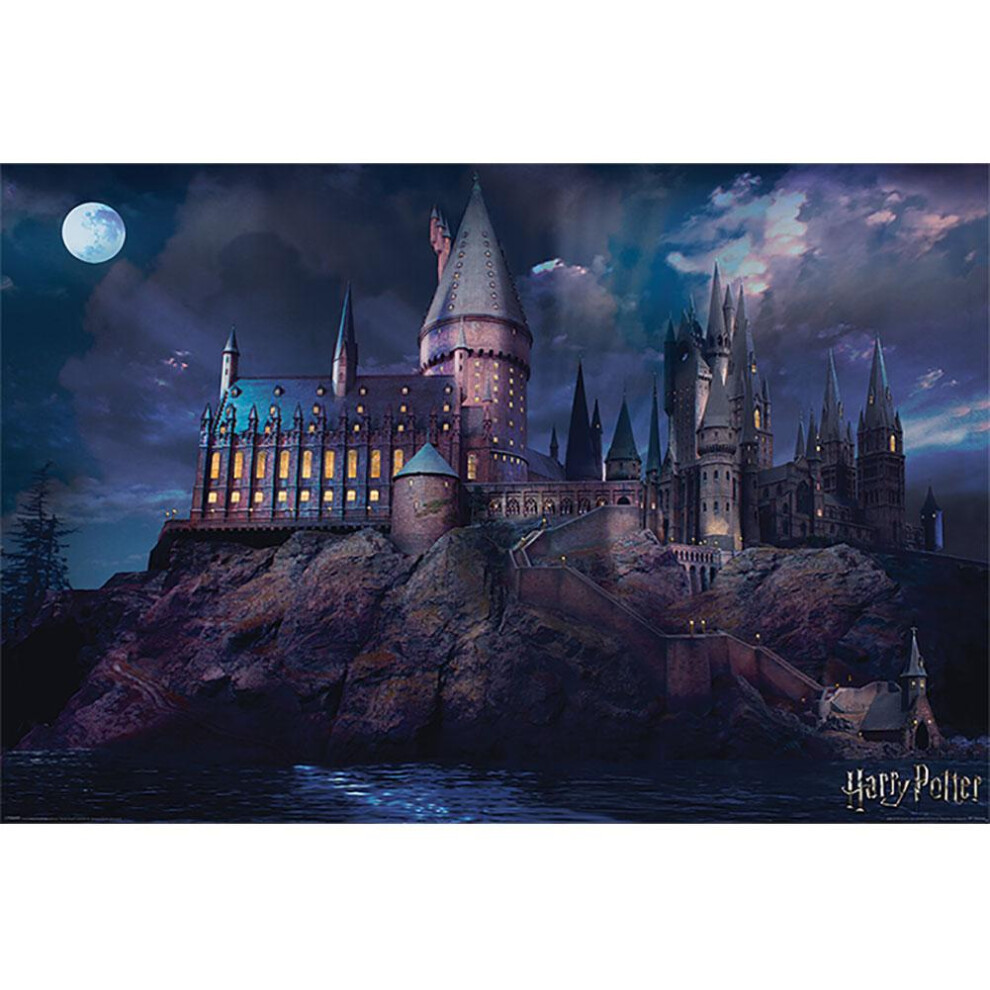Harry Potter Hogwarts Scene Poster