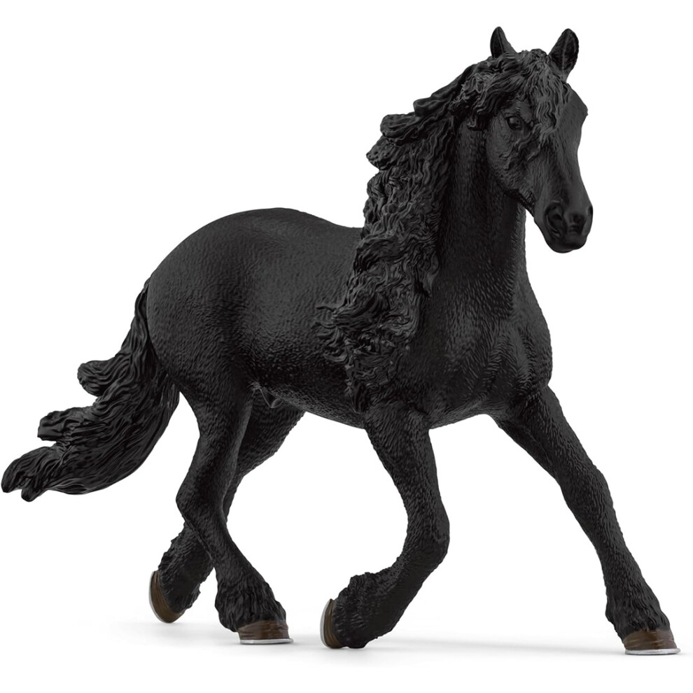 Friesian Stallion