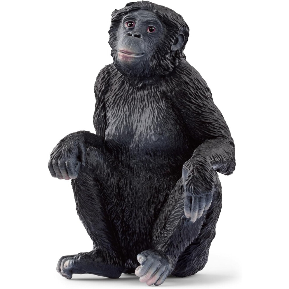 Schleich 14875 Bonobo Femmina, Da 3 Anni, Wild Life - Figura, 4 X 4 X 6 Cm-image