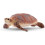 Schleich Schleich Hawskbill Sea Turtle 1