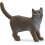 Schleich Schleich British Shorthair Cat 1