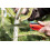 Felco Felco 601 pruning saw - folding tree saw compact pocket size - Genuine Felco 3