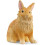 Schleich Schleich Lionhead Rabbit 1
