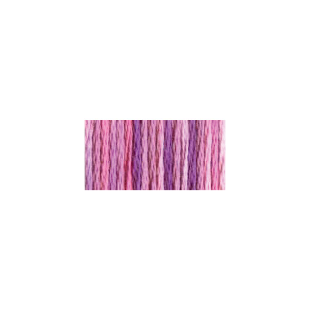 DMC Color Variations 6-Strand Embroidery Floss 8.7yd-Enchanted 417F-4260