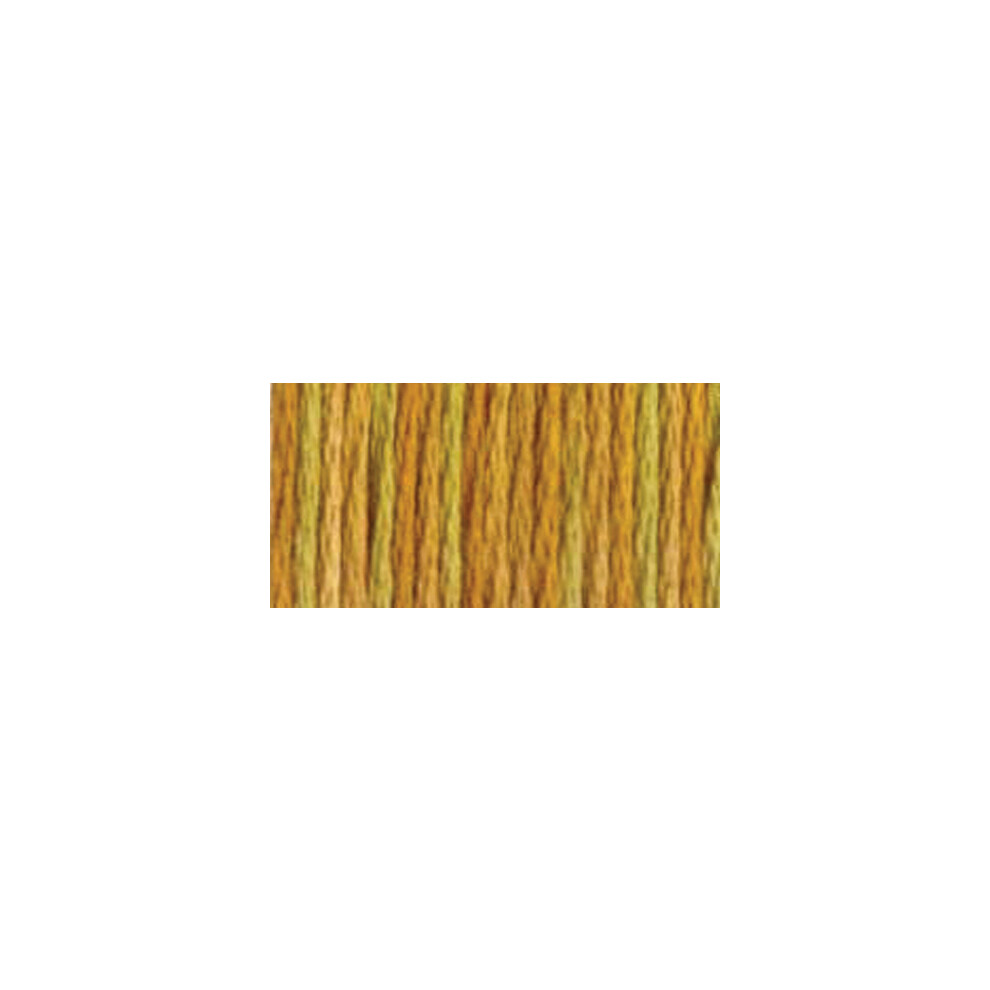 DMC Color Variations 6-Strand Embroidery Floss 8.7yd-Peanut Brittle 417F-4129