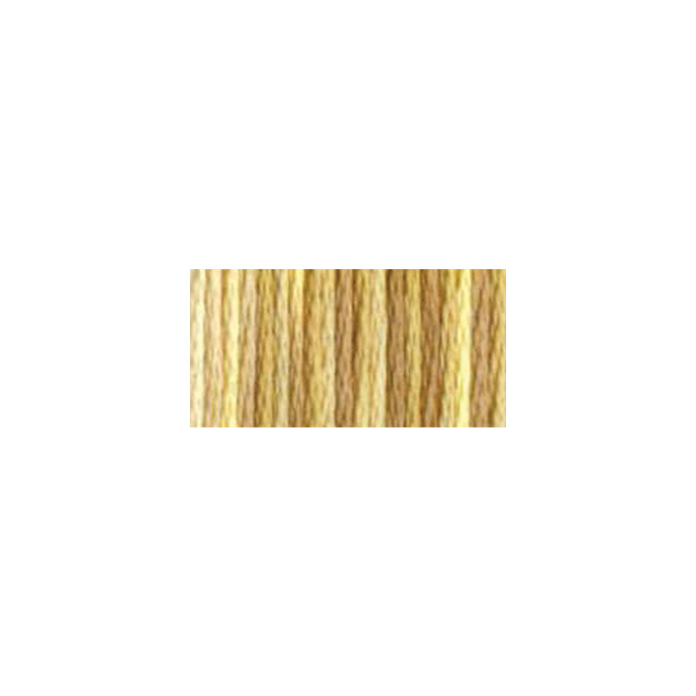 DMC Color Variations 6-Strand Embroidery Floss 8.7yd-Toasted Almond 417F-4072