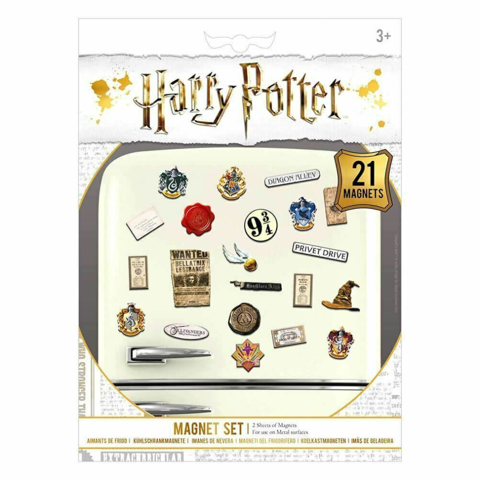 Harry Potter Wizardry Fridge Magnet Set (Pack Of 21)